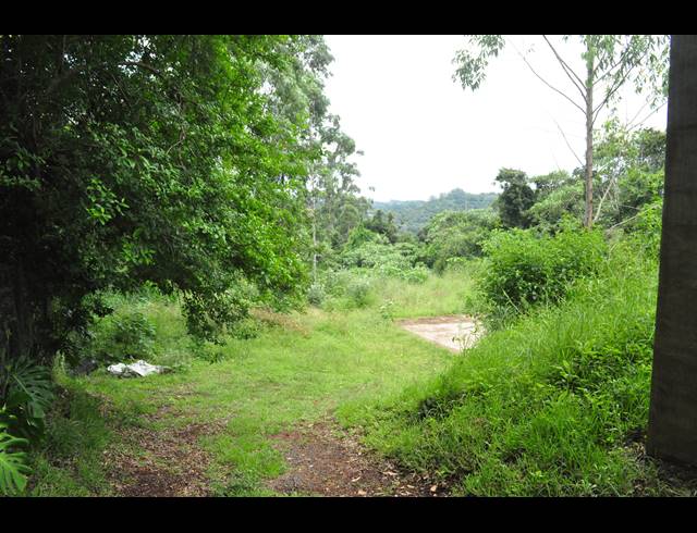 5,931M² VACANT LAND FOR SALE IN FOREST HILLS